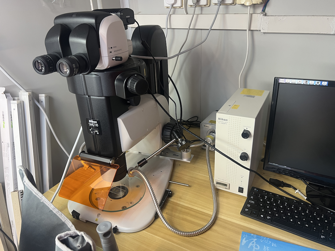 尼康荧光显微镜